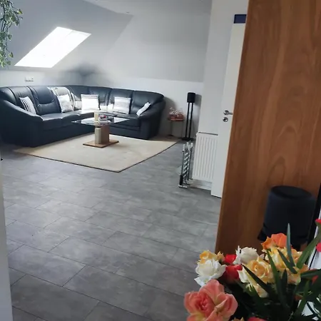 In Der Vulkan Eifel Apartment *