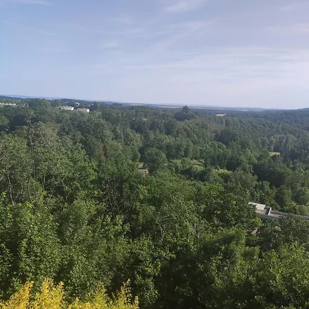 In Der Vulkan Eifel * 曼德沙伊德